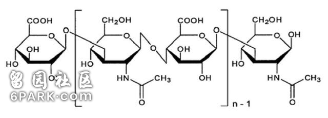 科学研究证明，保持适度饥饿，确实能活的更久