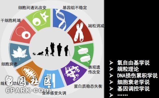 科学研究证明，保持适度饥饿，确实能活的更久