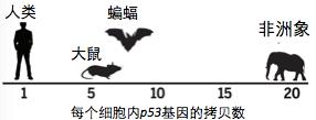 科学研究证明，保持适度饥饿，确实能活的更久