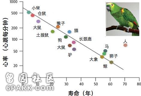 科学研究证明，保持适度饥饿，确实能活的更久